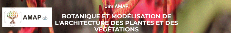 Unit Mixte de Recherche (UMR) botAnique et bioinforMatique de l'Architecture des Plantes (AMAP) Vincent Droissart IRD