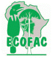 ECOFAC - Conservation et utilisation rationnelle des écosystèmes forestiers d'Afrique centrale