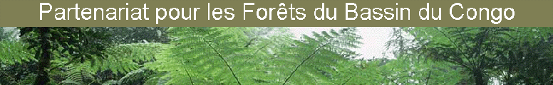 Le Partenariat pour les Forts du Bassin du Congo (PFBC), mis en place  Johannesburg en 2002, est un partenariat qualifi de type II,  caractre non contraignant, conclu  lamiable entre les gouvernements, le secteur priv, les organisations de la socit civile et les partenaires au dveloppement. 
