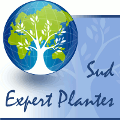 Sud Expert Plante - IRD