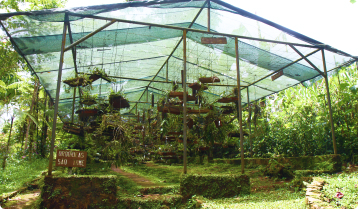 Shadehouses Img 2